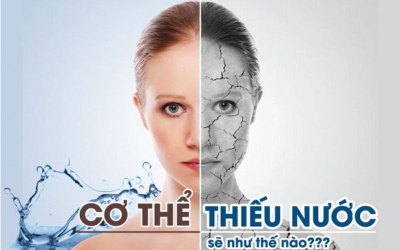 Cơ thế bị thiếu nước