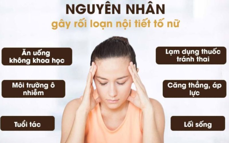 Rối loạn nội tiết tố gây mụn cứng dưới da