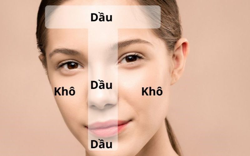 Da hỗn hợp thiên khô là gì?