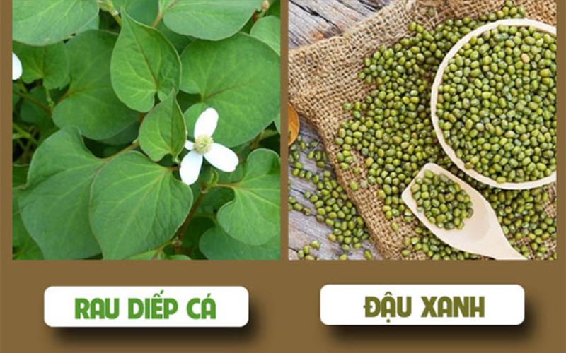 Diếp cá và đậu xanh giúp trị mụn hiệu quả 