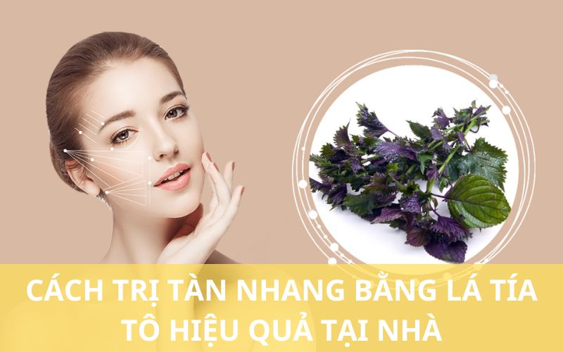 lá tía tô trị tàn nhang